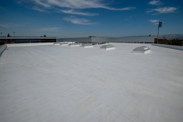 Best Cold Roofs  in USA